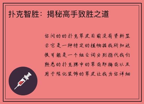 扑克智胜：揭秘高手致胜之道